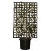 500mm Informal Espalier Camellia - Camellia