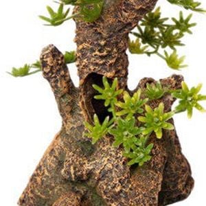Aqua One Umbrella Pine Stump Small Ornament 12.5x13.5x23.5cm (37476s)
