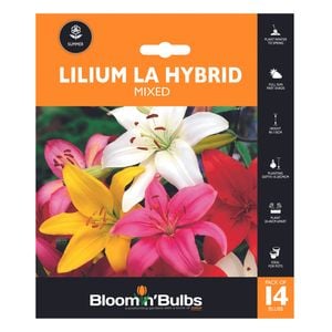 Bloomin' Bulbs Orange L/Scape Lilium La Hybrid Mixed - 14 Pack
