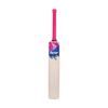 Victor Sports English Willow Club Level Cricket Bat Integra Pink/Blue Harrow