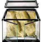 Exo Terra Terrarium 30cm x 30cm x 30cm