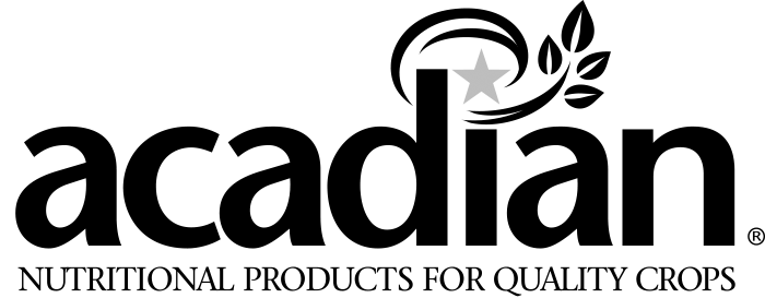 Acadian