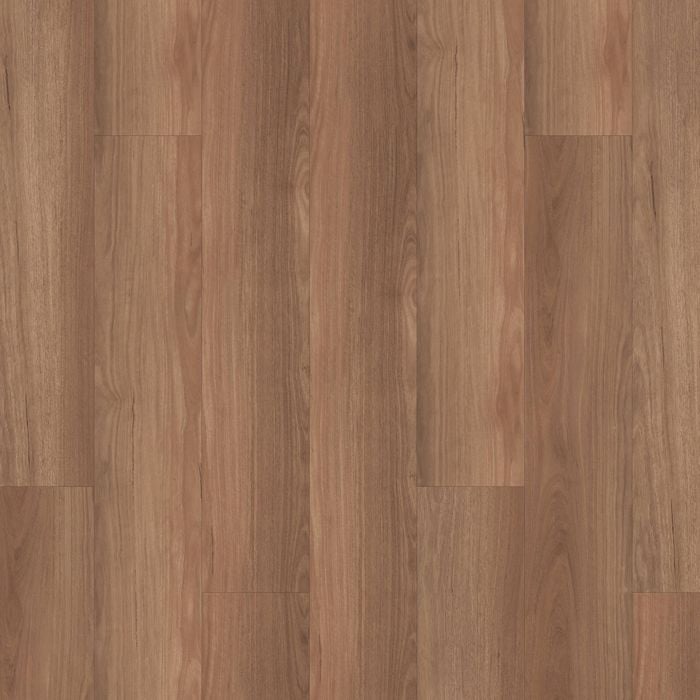 Senso Spotted Gum Virtuo Classic 55XL Astir Vinyl Planks