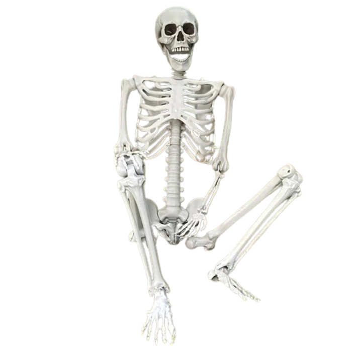 Lifebay Faux Skeleton Sculpture: Spooky Halloween Decor - Bunnings ...
