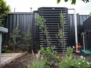 Water tank sitting in a back garden surrounded but plants.