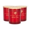 Soy Wax Scented Candles - 130g - Wild Fig & Cassis - Pack of 3 - Autumn Spiced Glass Jars - Long Burn Seasonal