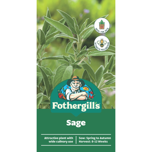 Fothergill's Sage Herb Seeds