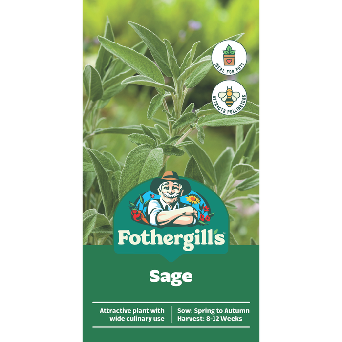 Fothergill's Sage Herb Seeds