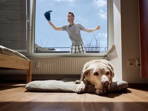 Inside view of a person cleaning a window on the outside