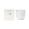 Aromabotanical Aventurine Crystal Infused 340g Scented Wax Candle Home Fragrance
