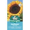 Fothergill's Sunflower Giant Single Seeds