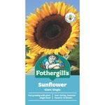 Fothergill's Sunflower Giant Single Seeds