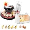 Advwin Automatic 12 Egg Incubator + Chicken Brooder Box