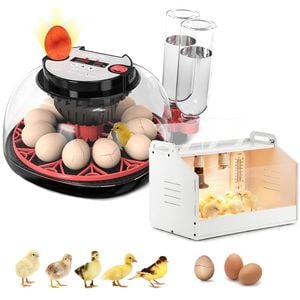 Advwin Automatic 12 Egg Incubator + Chicken Brooder Box