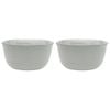 2PK Ecology Ottawa Lichen Laksa Bowl 20cm