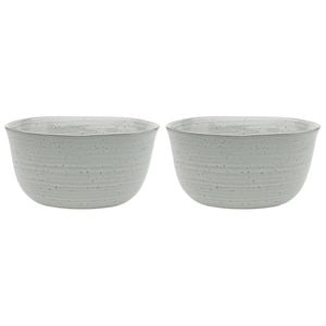 2PK Ecology Ottawa Lichen Laksa Bowl 20cm