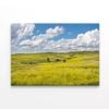 Field Of Flowers under a Sky  Print 100% Australian Made 120 x 90cm  (Stretched)