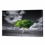 The Green Tree | 90 x 60cm Stretched Canvas Print