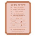 Stylish Pool CPR Sign Rust & Pink Slim