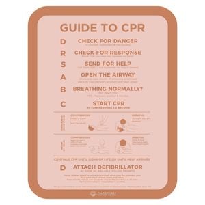 Stylish Pool CPR Sign Rust & Pink Slim