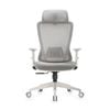 Shappa A7 High Back Ergonomic Chair(Grey)