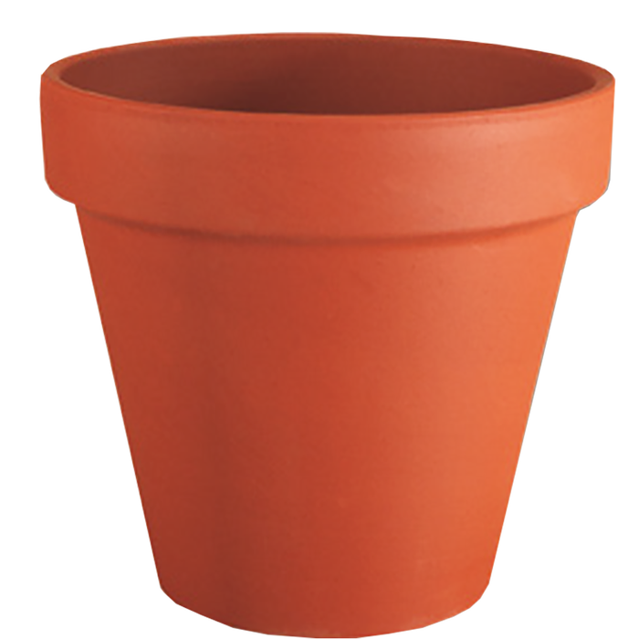 Vaseria 17cm Italian Terracotta Pot