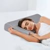 Dreamz  Bamboo Charcoal Memory Foam Pillows 2-Pack - Grey