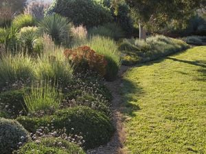 View of garden with a variety of bushes, flowering plants and trees bordering a lawn.