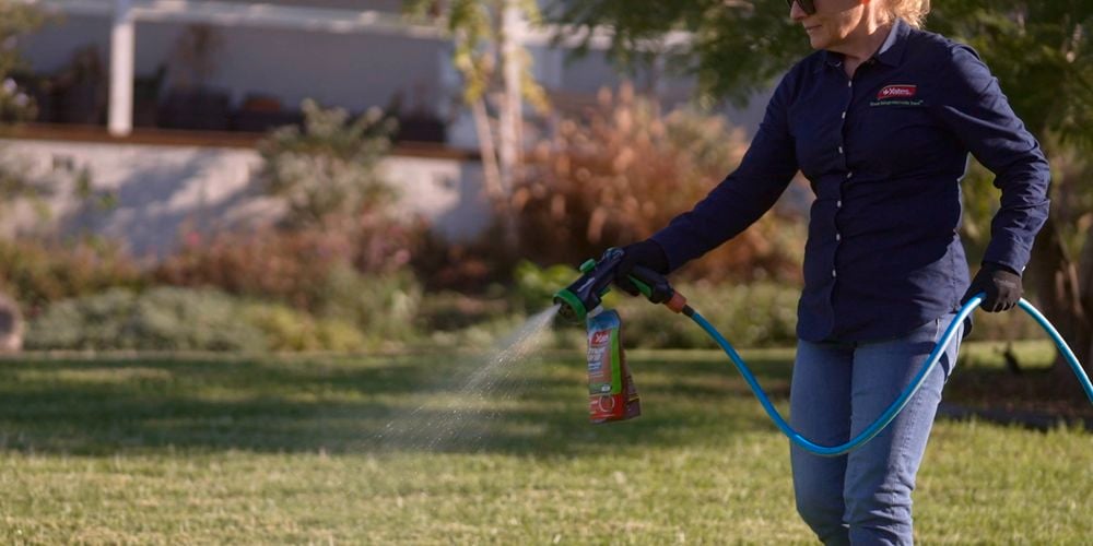 Person using Yates Click & Grow Dynamic lifter lawn food