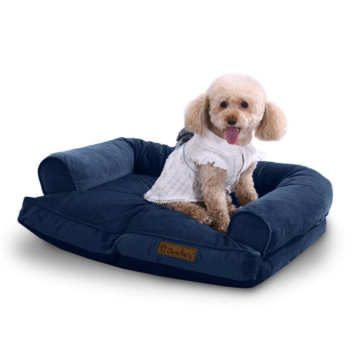 Charlie's Corduroy Dog Sofa Bed Navy - Large