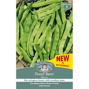 Mr Fothergills Dwarf Bean Plazza