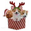 Click 76cm Pre-lit Dogs In Giftbox Decoration
