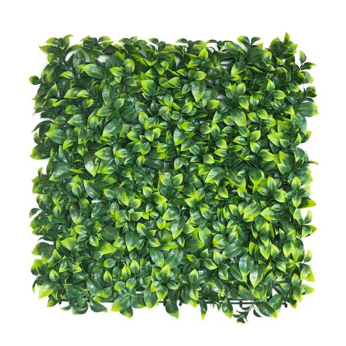 Un-Real 50 x 50cm Pittosporum Artificial Hedge