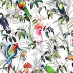 Transform 52cm x 5 m Tropical Multi Peel And Stick Wallpaper