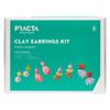 Practa Polymer Clay Earrings Kit