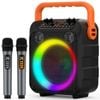 Advwin Karaoke Machine, Portable Singing Machine Karaoke with 2 Wireless Mics, Bluetooth 5.3, TWS Mode, 6.5" Woofer+2 Tweeter, C