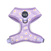 Holly & Co  Daisies of our Lives Medium Purple Stylish Dog Harness