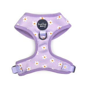 Holly & Co  Daisies of our Lives Medium Purple Stylish Dog Harness