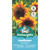 Fothergill's Sunflower Solar Flash Flower Seeds