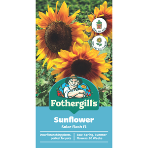 Fothergill's Sunflower Solar Flash Flower Seeds