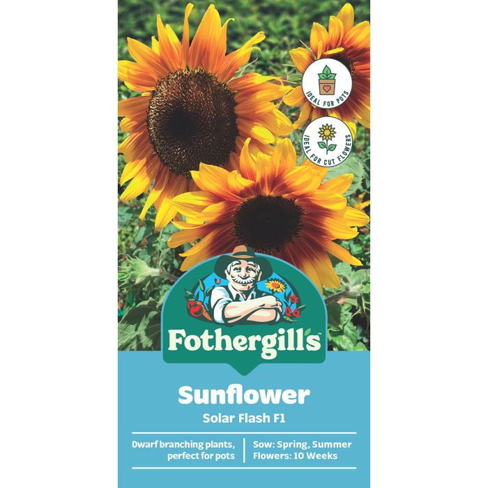 Fothergill's Sunflower Solar Flash Flower Seeds