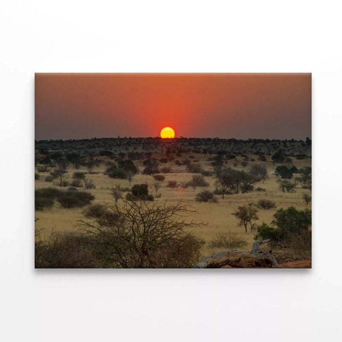 Nature View with Trees & a Sunset  Print 100% Australian Made 120 x 90cm  (Stretched)
