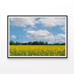 Rapeseed Plant & Wind Turbines  Print 100% Australian Made 120x90cm  (Poster)
