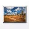 Kakadu National Park Australia  Print 100% Australian Made 90x60cm  (Poster)