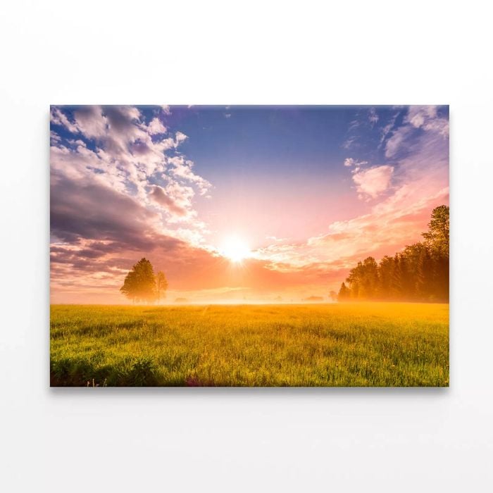 Sunrise in Forest with Meadows  Print 100% Australian Made 90 x 60cm  (Stretched)