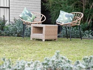 Outdoor chairs on a green lawn against a leafy backdrop