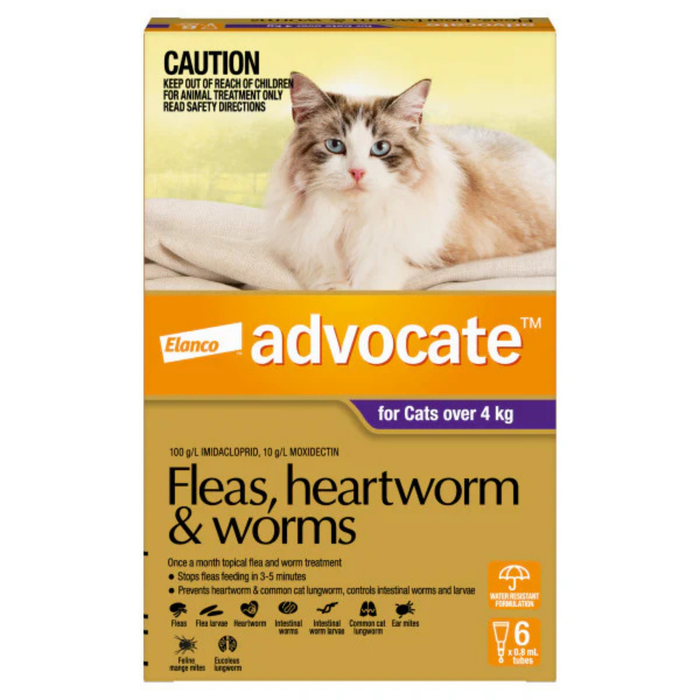 Advocate For Cats Flea and Worming Spot-On Over 4kg - 6 Pack