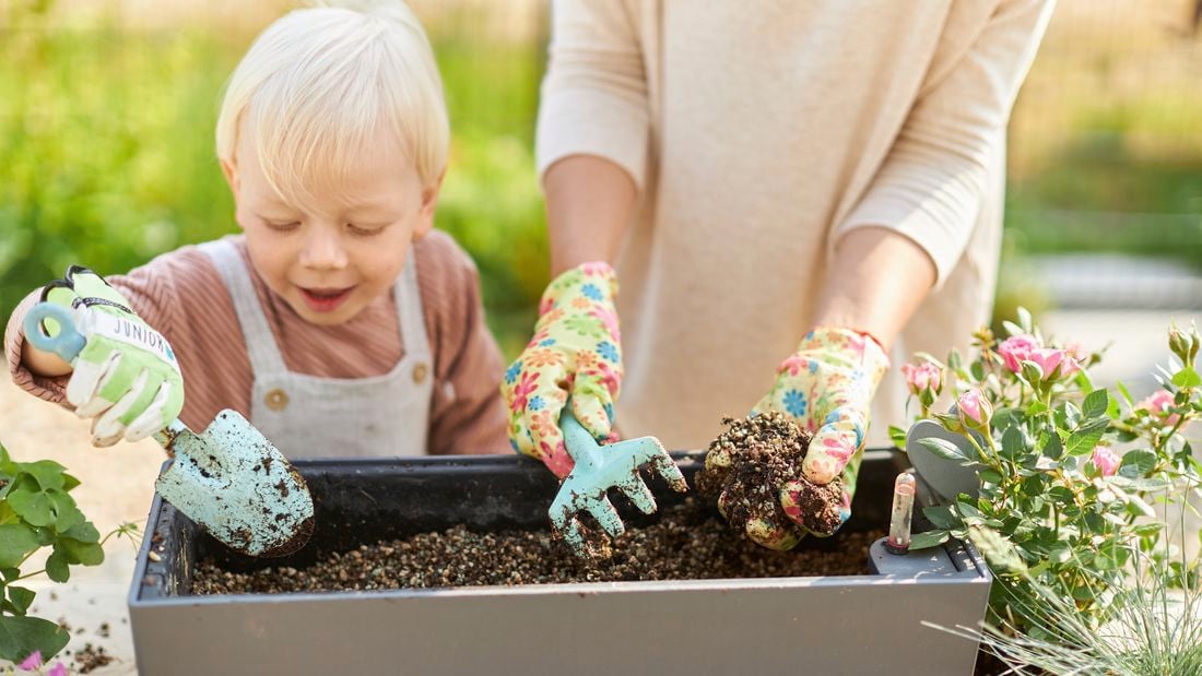 A mother planting, watering and tending flowers and herbs with her little son in her raised bed wearing garden gloves and holding a small blue rake and shovel