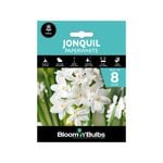 Bloomin' Bulbs Jonquil Paperwhite - 8 Pack