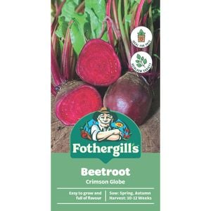 Fothergill's Crimson Globe Beetroot Vegetable Seeds